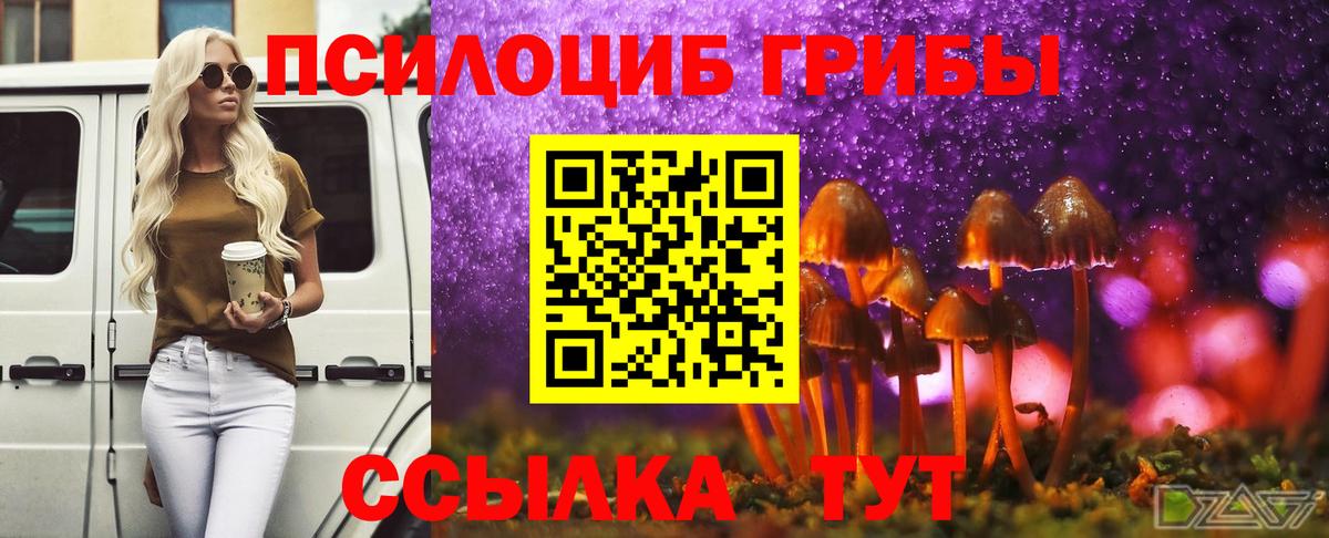 Псилоцибиновые грибы Psilocybe  Вход с VPN  Чапаевск 